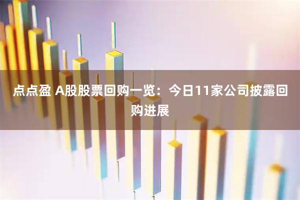 点点盈 A股股票回购一览：今日11家公司披露回购进展